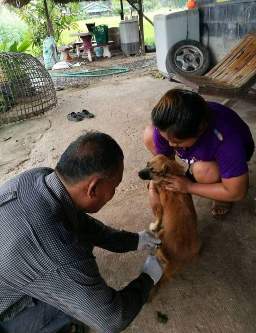 กิจกรรมการออกบริการฉีดวัคซีนพิษสุนัขบ้า ประจำปีงบประมาณ 2566